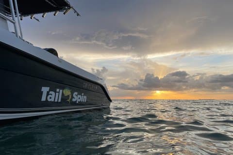 Sunset et Sea Breeze Private Charter dans les Keys