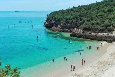 Arrabida Private Scenic Coast Tour and Wine Experience