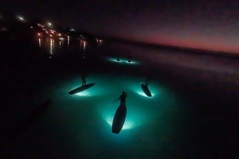 NY! Restauranter i nærheden af Sunrise Paddle Uderglow Experience