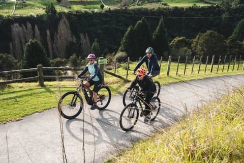 Halve dag begeleide fietstocht Te Awa River Ride