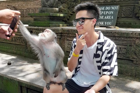 Visite privée de la forêt de singes d'Ubud, des rizières en terrasses et des temples