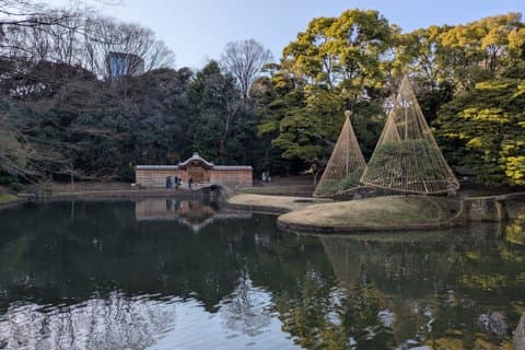 日本語庭園について学ぶコラコエンガイドツアー