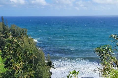 Tour privato di un'intera giornata della cascata di Maui, spiaggia e Hana
