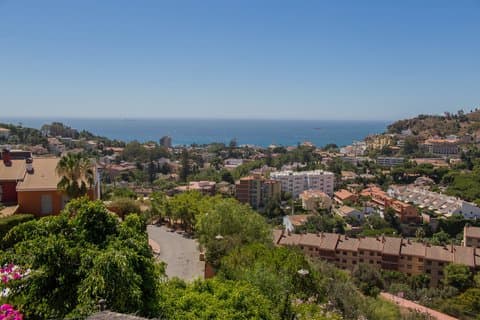 Visita guiada privada a Málaga a partir de Nerja