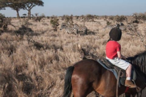 Big Five Horseback Safari and Wine Tasting Experience