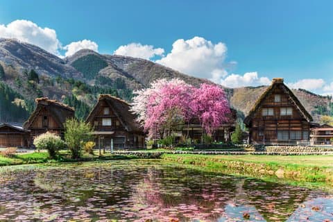 Shirakawago Takayama e Gujo Hachiman Tour de um dia saindo de Nagoya