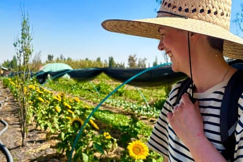 Xochimilco pré-hispânico: Chinampas navegantes, axolotls, observação de pássaros