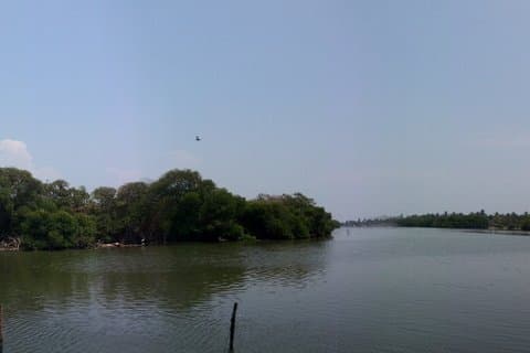 Oplev Negombo En kulturdagstur i Sri Lankas kystperle