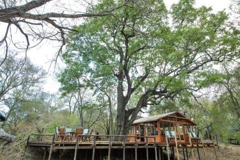 Exclusive 4 Day Ndzhaka Tented Camp Safari