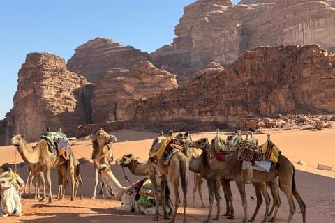 Petra Wadi Rum og Dødehavet Private 2-dagers tur