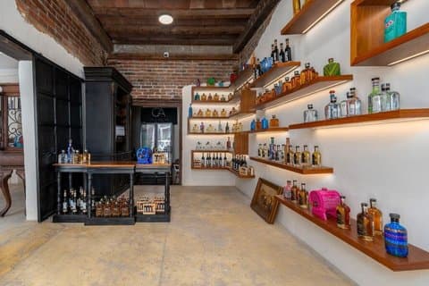 BEHIND THE BOTTLE : expérience privée de tequila avec le propriétaire