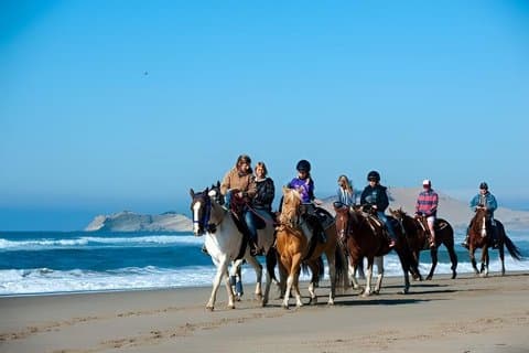 Ensenada ATV og Horseback ridning kombineret eventyr