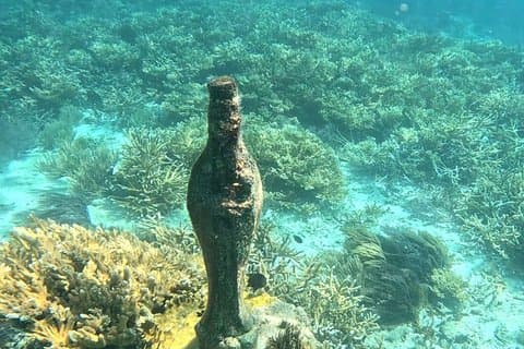 Snorkeltur ved El Farito Reef i Isla Mujeres