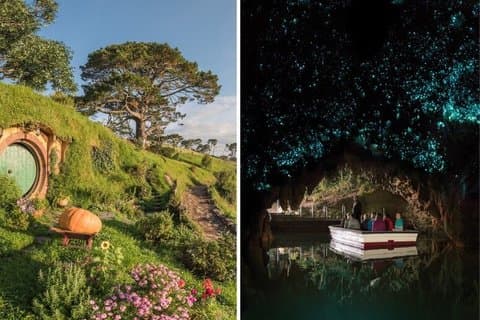 Tour di un giorno alle grotte di Hobbiton e Waitomo con pranzo da Auckland