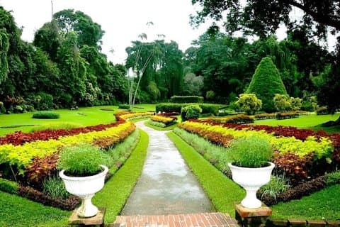 Kolonialtur i Kandy Tea Empire og britisk historie af Tuk Tuk