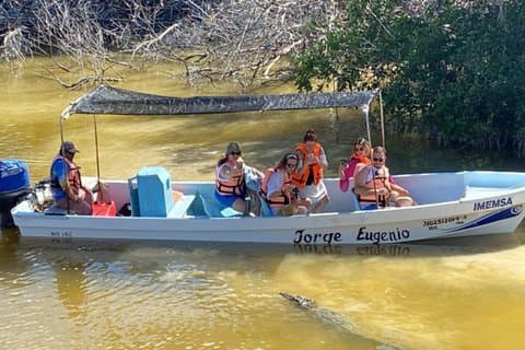 Rio Lagartos Private Flamingo Tour Hidden Beach Mud Bath