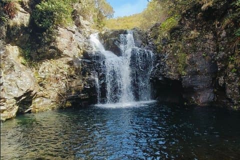 マデイラの隠れた滝ハイキング(送迎とガイド付き)