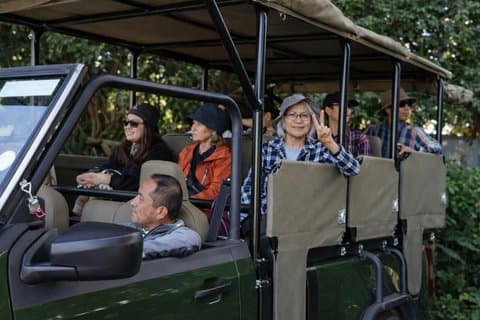 Excursión de 2 días a Schotia Safari en Port Elizabeth