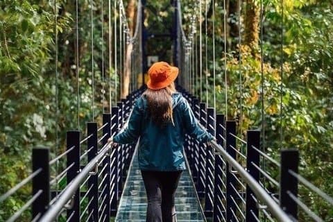 Spaziergänge über Hängebrücken in Monteverde