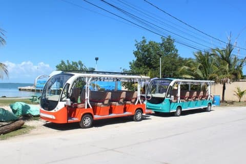 Arrêt de plage Eco-Bus et City Tour Group Charter