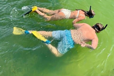 4 Hour Egmont Key Island Tour With Dolphins & Snorkeling Included