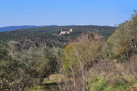 Vandretur til Belcaro Hill, kun et stenkast fra Siena