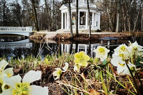 Sea Resort Jurmala near Riga Private Tour