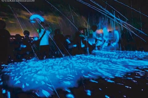 From Osaka: Awaji Island Blue Glow Sea Firefly Night Tour