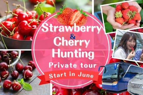 Chasse aux cerises et aux fraises Sapporo Forfait complet