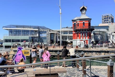 Robbeneiland- en Tafelbergtour met transfers en tickets