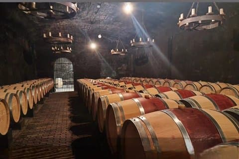 Privat halvdagstur til Châteauneuf-du-Pape fra Avignon
