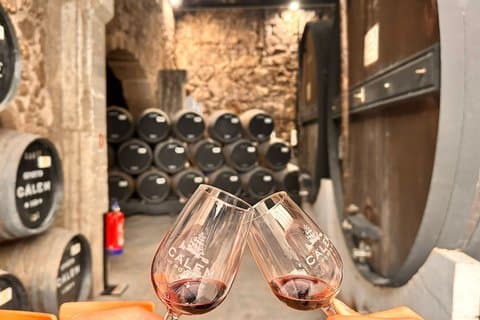 Tour de vinos de Oporto por los vinos que construyeron la ciudad