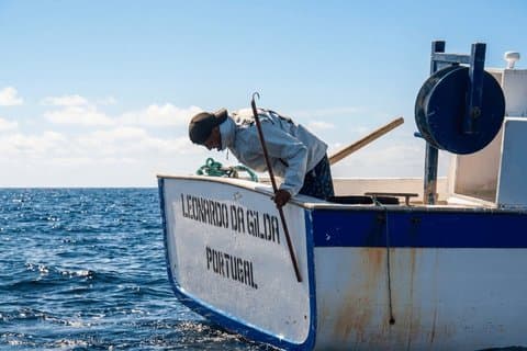 Die Kunst der traditionellen Fischerei
