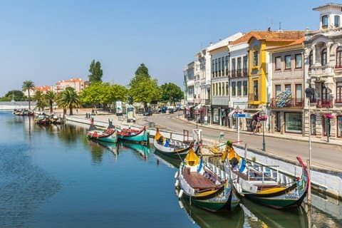4 timmars traditionell Aveiro Portugisiska Matrundtur