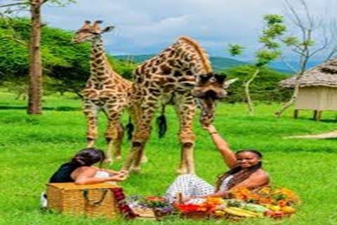 Volledige dag Wildlife Adventure bij JKT Ruvu Camp vanuit Dar es Salaam