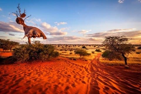 Vanaf Fes 2-daagse Merzouga woestijnreis met tent en diner