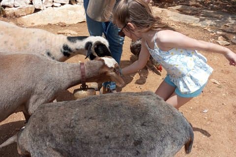 Naxian Farm Experience with hands on Cheese Making activity