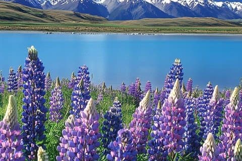 Queenstown: Private Evening Tour with Hotel Pickup