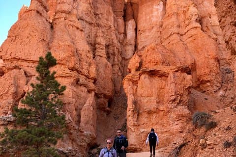 Tour privado de senderismo por Bryce Banyon desde Las Vegas