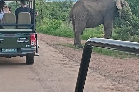 Pilanesberg National Park