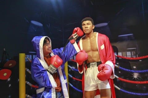 Madame Tussauds Singapore toegangsbewijs