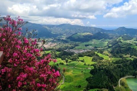 Furnas, tea plantation, Vila Franca Campo Private Full Day Tour