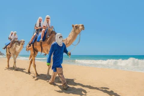 Giro in cammello a Cabo San Lucas con servizio di prelievo e formula tutto incluso.