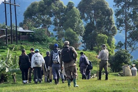 5 dage Primates Habituation oplevelse Uganda