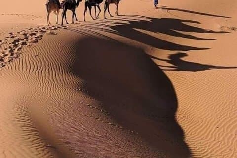 Excursión en camello y campamento en el desierto de Merzouga (2 días desde Ouarzazate)
