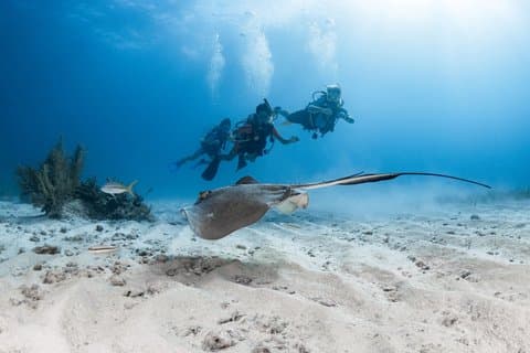 Key Largo 2-Tank Boat Dive for Certified Divers