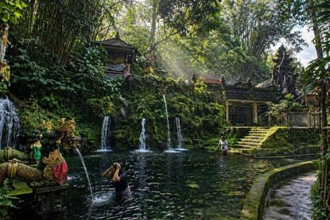 Hidden Gem Bali Purification with Private Guide and Transfer