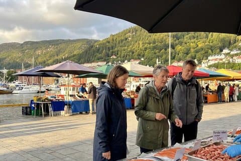 Visite privée à pied dans le patrimoine de la vieille ville de Bergen
