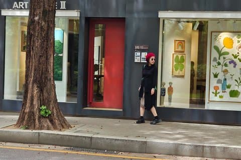 Gangnam la città del lusso e della bellezza K