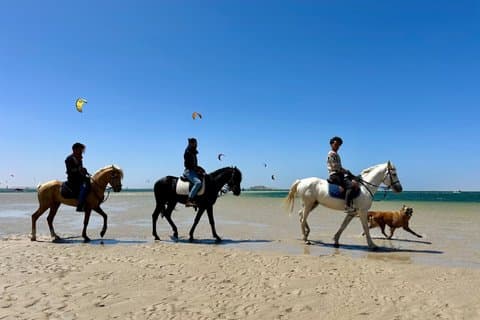 En ridetur langs Dakhla-kysten